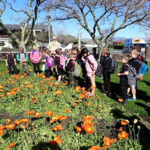 Flower beds at Pollard Park