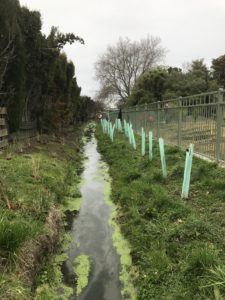 Grovetown School Creek