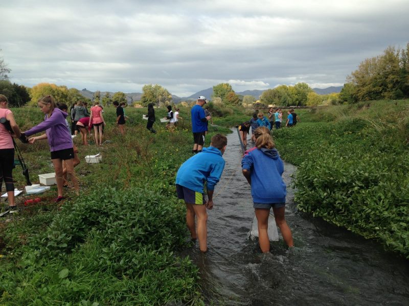 Stream Study - Taylor River
