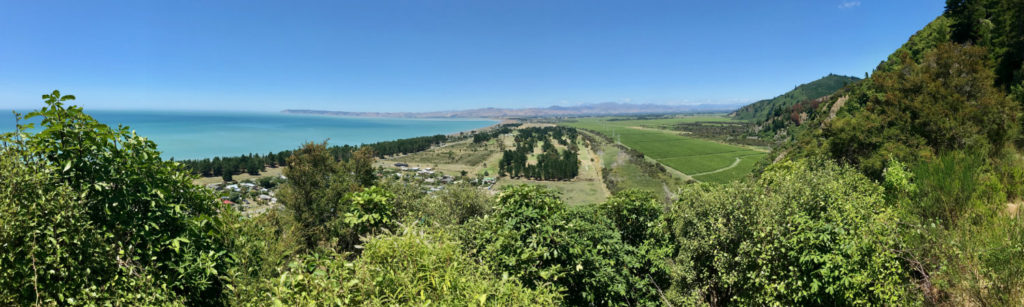 Rarangi view 1500x450