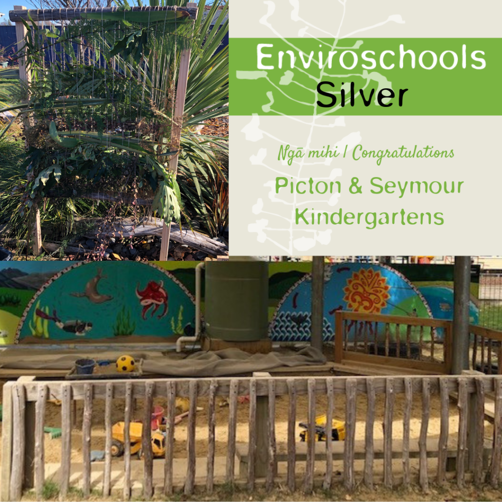 Enviroschools Silver