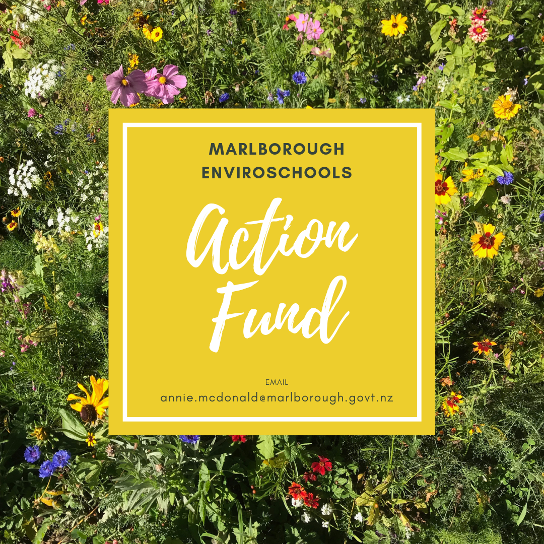 Enviroschools Action Fund
