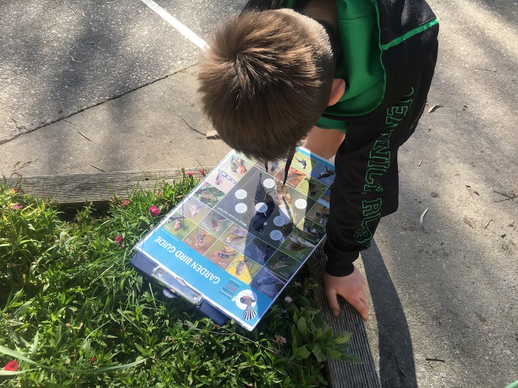 Canvastown_bird spotting Enviroschools Marlborough