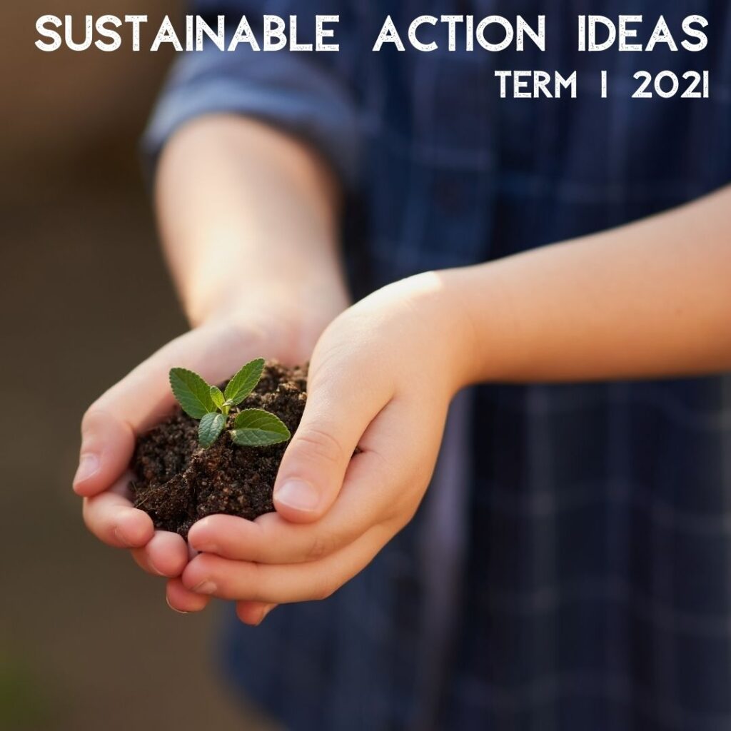 Sustainable Action Ideas Term 1 2021