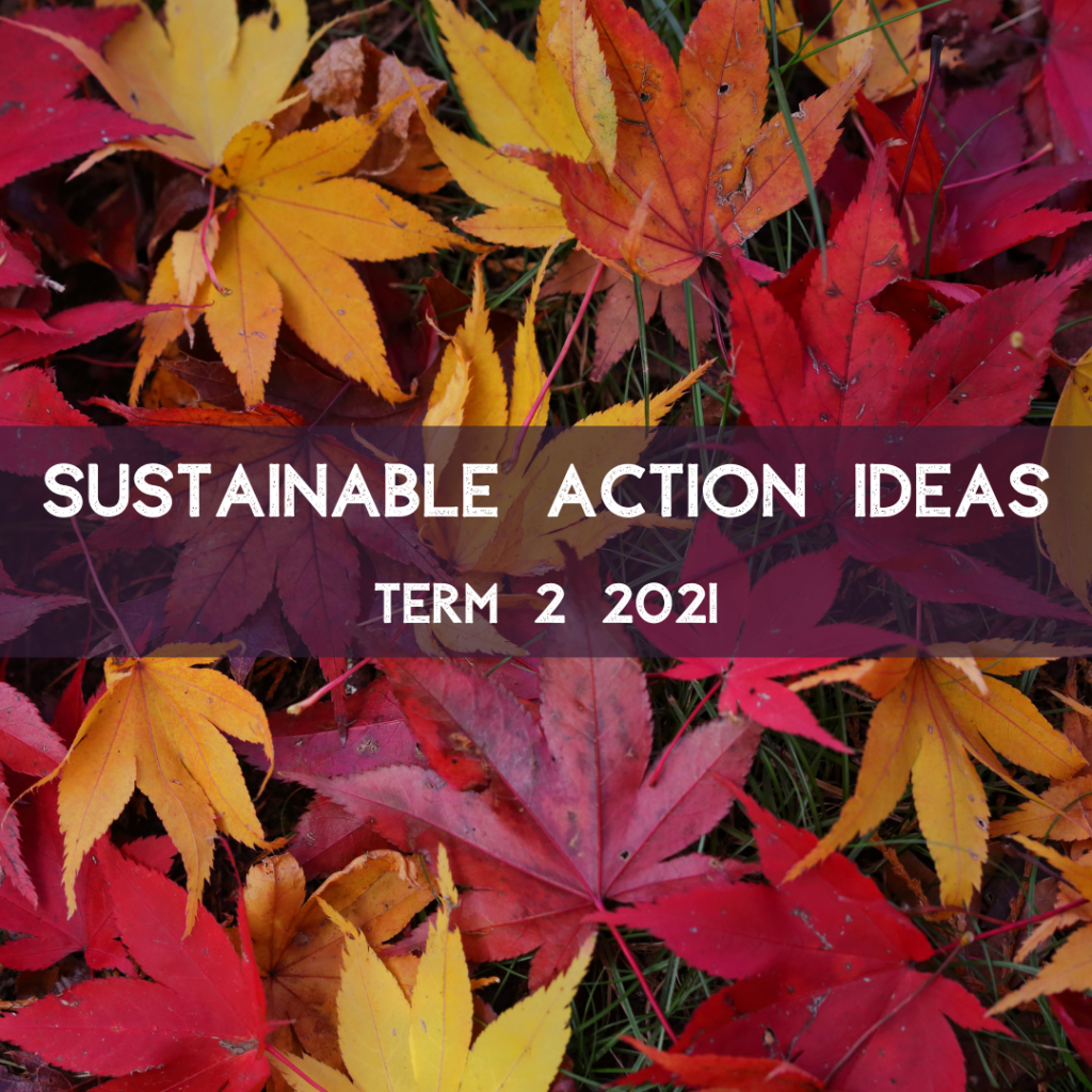 Sustainable Action Ideas Term 2 2021