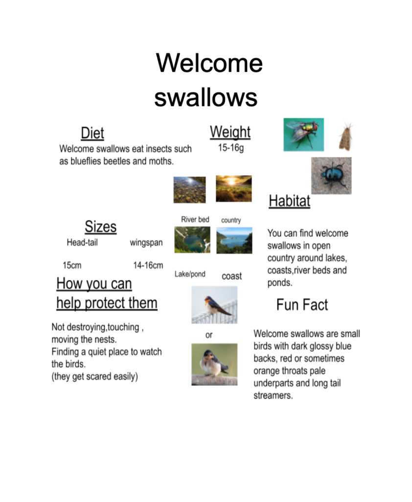 Bird Scavenger Hunt resource example