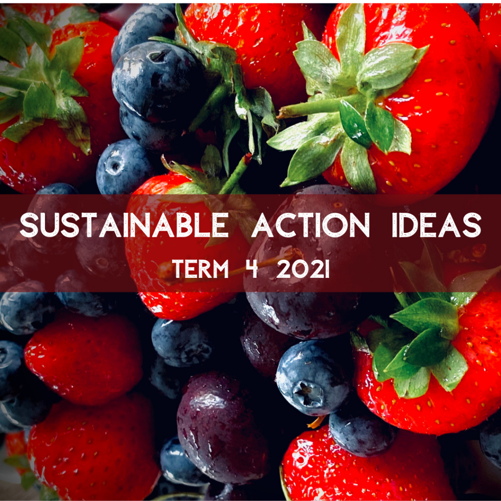 Sustainable Action Ideas | Term 4 2021