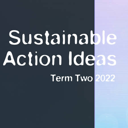 Sustainable Action Ideas Term 2 2022