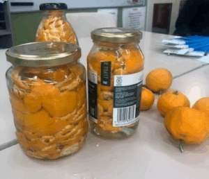 Vinegar Citrus Spray and Wipe