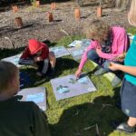 Indentifying leaves with Angela