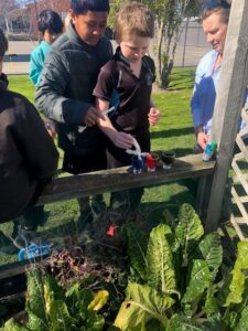 Mayfield students learning how plant roots absorb nutrients from the soil