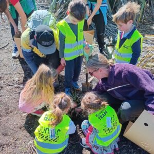 Springlands Kindy planting