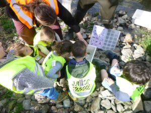 Tamariki identifying with invertebrates using the key on the bug boxes.