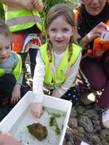Lela getting her hands wet sifting through weed and turning over rocks to find invertebrates.
