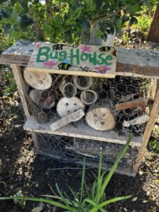 The food forest even has a bug house.