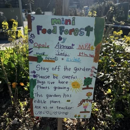 The finished food forest.