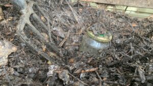 The jar of water in the compost heap got warmer as the temperature of the heap rose.