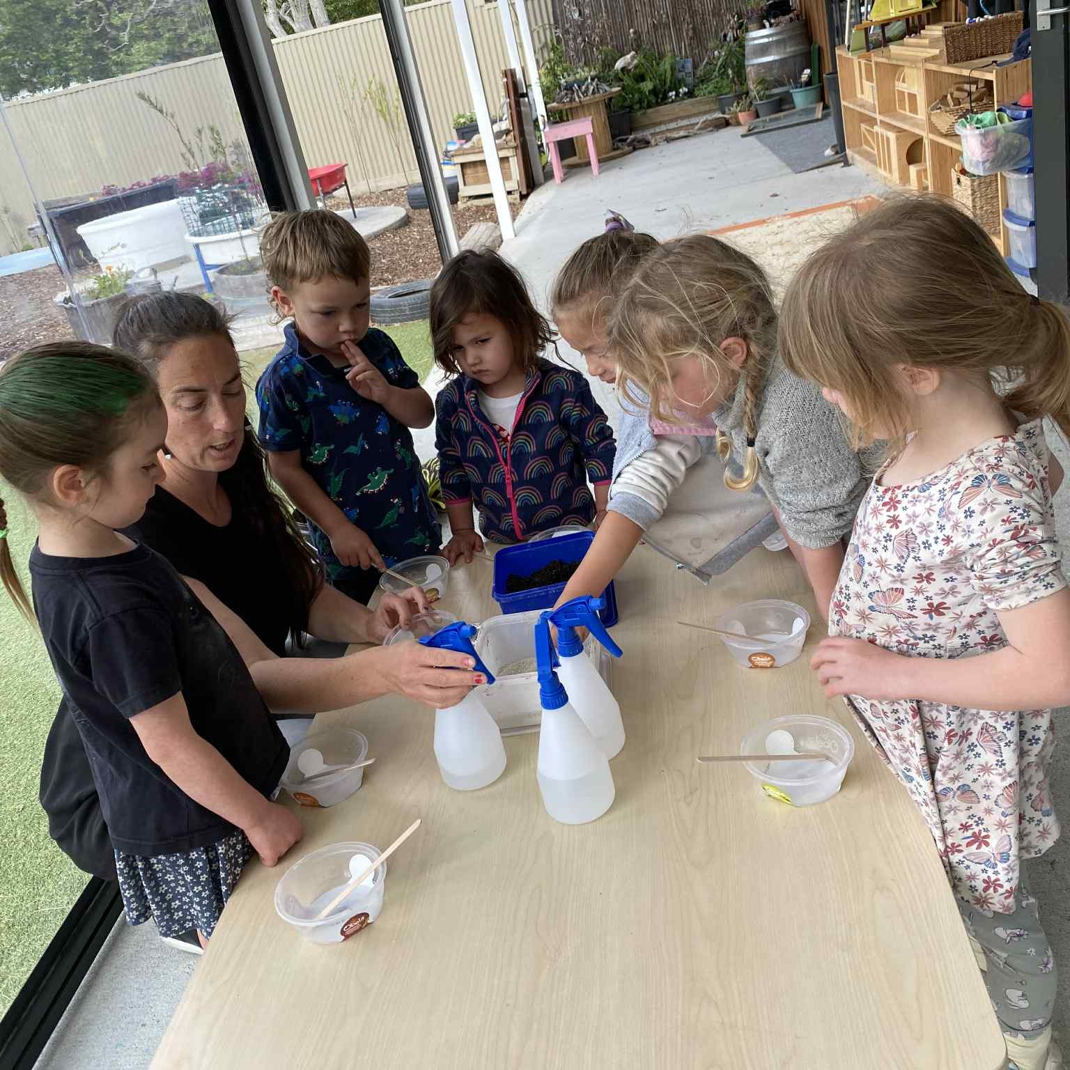 Wildflower Seed bombs