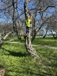 Charlie tree climbing