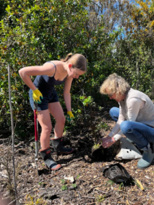 Helping with the restoration of our fragile wetland environments