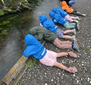 Looking for tuna (eels)