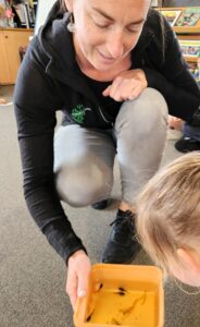 Tadpoles at Redwoodtown