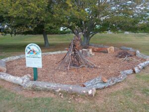 Nature Exploration Space