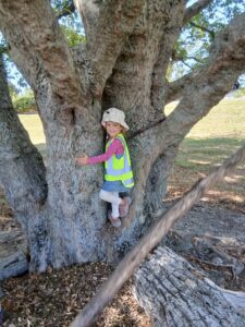 Tree climbing
