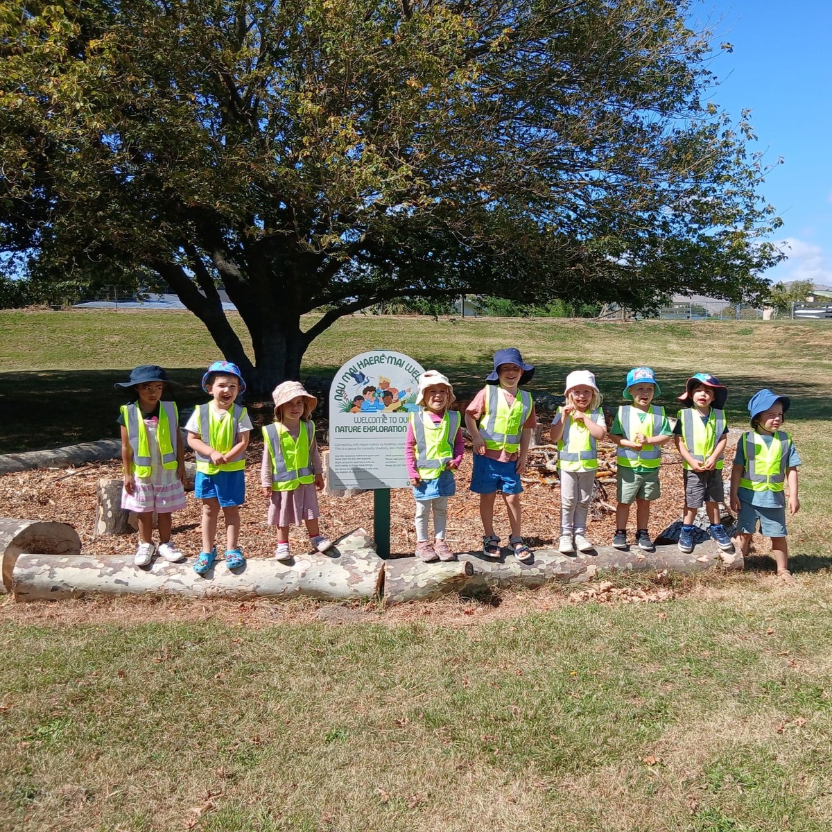 Nature Exploration Space