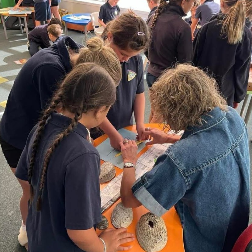 Waikawa Bay Sea week