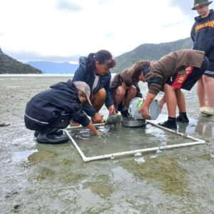 another bucket of sand goes into the sieve
