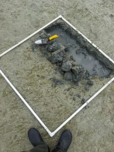 just getting started digging down to 15 cm