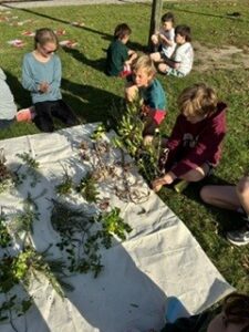 A collage of natural materials to show what they would like their ngahere to look like in years to come.