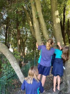 Finding biodiversity hot spots