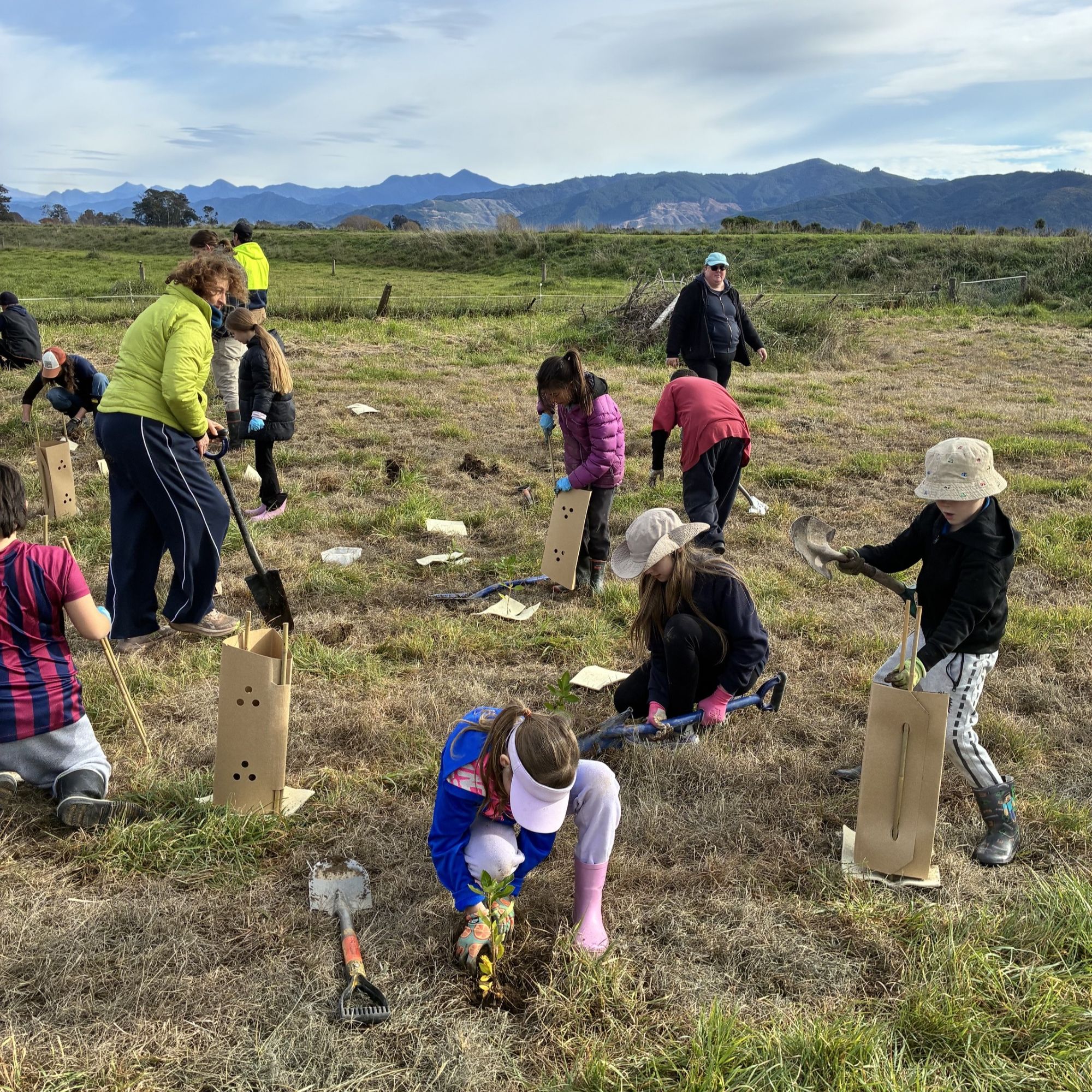 Planting