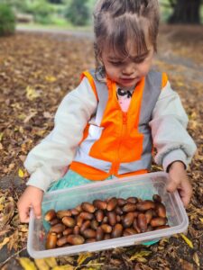 Little Acorns Academy
