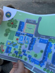 Mapping biodiversity