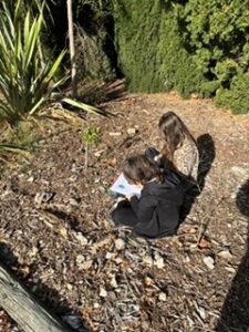 Rapaura School children hard at work interviewing a tree in their ngahere 1