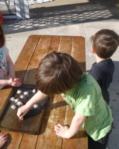 Seymour Kindergarten