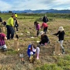 Planting