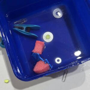 Testing out bouyancy with plastic fish