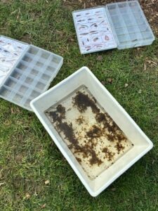 Containers of invertebrates and bug boxes out for tamariki to identify what is living in the awa.