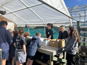 Reuban and Angela Kumara planting