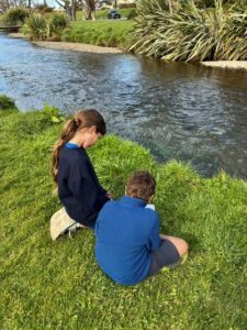 Riffles are shallow fast flowing areas where water bubbles over rocks adding oxygen to the awa.
