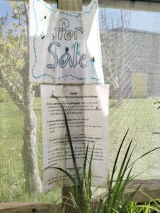 Waitaria Bay School sell plants to their community