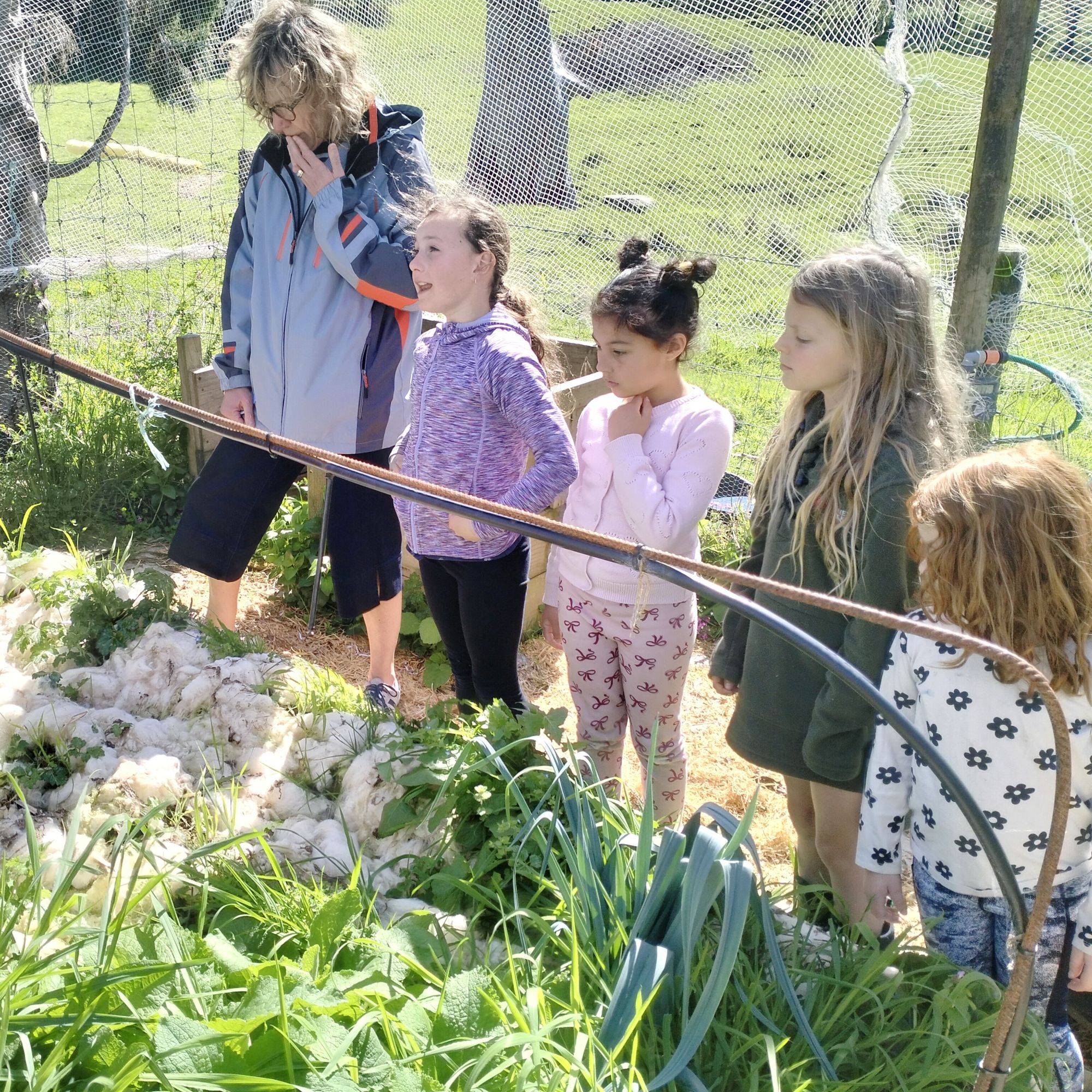 Waitaria Bay School