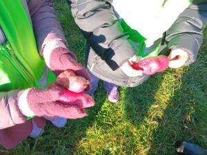 tamariki showing off the kumara that they found