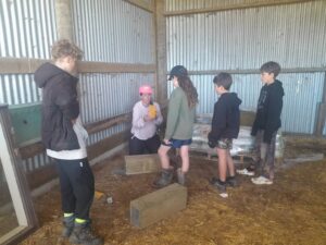 Learning how to set a tricky victor rat trap