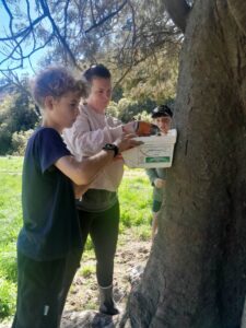Max learning how to set a possum trap