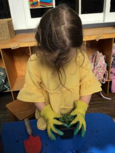 Montessori 